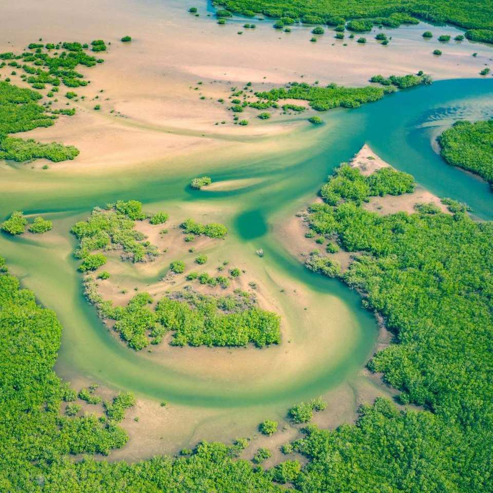 Graban a hombre hostigando a un cocodrilo en el río Cuale